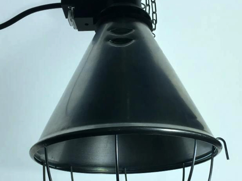 保溫?zé)? /><br /></div><div>給小豬斷掉保溫?zé)舻膮⒖家蛩仄鋵?shí)不是重量，而是要看它的出生時(shí)間和健康狀態(tài)來決定的。一般小豬30日齡后不用開保溫?zé)?。小豬出世后，身體素質(zhì)較差，非常容易遭受冷害，因此必須24鐘頭一直開了保溫?zé)?。保溫?zé)粞b在間距小豬后背15cm以上的部位，1-7日齡溫度為28-32℃，8-30日齡維持25-28℃溫度，以后漸漸地降至自然環(huán)境中的溫度。</div><div>小豬調(diào)整人體體溫適應(yīng)新環(huán)境的性差，特別怕冷，嚴(yán)寒對(duì)仔豬的立即傷害是凍死，與此同時(shí)又是砸死、餓死了和下痢的發(fā)病原因。豬仔在較低溫度時(shí)，體溫降低，行為滯銷品，喝奶乏力，進(jìn)而造成下痢或心搏驟停，最后造成被砸死、餓死了或病亡。天齡超出60天的仔豬對(duì)環(huán)境溫度需求相對(duì)性就沒那麼高，一般保持在22度上下就可以了，因而當(dāng)超出60天之后對(duì)小豬的隔熱保溫對(duì)策可以相對(duì)性釋放壓力。</div><div>能采用下列狀況給小豬給予適合溫度自然環(huán)境：1、紅外感應(yīng)保溫?zé)簟，F(xiàn)階段紅外感應(yīng)保溫?zé)舯黄毡榈牟捎茫绞绞牵河眉t外感應(yīng)燈光效果吊掛在仔豬靜臥的護(hù)仔架上邊或隔熱保溫間內(nèi)給仔豬保溫供暖，并可依據(jù)仔豬需要的溫度及時(shí)調(diào)節(jié)紅外感應(yīng)保溫?zé)舻牡跏较鄬?duì)高度。此方法機(jī)器設(shè)備簡(jiǎn)易，隔熱保溫效果非常的好，并有預(yù)防皮膚疾病的作用。2、仔豬保溫隔熱板。電加熱控溫防寒保暖板表面溫度26～32℃。商品構(gòu)造合理，安全性節(jié)電，使用便捷，控溫靈便，控溫精確，適用大中型工廠化養(yǎng)豬場(chǎng)。</div><div><br /></div><div>以上就是宇成電熱為大家分享的“小豬保溫?zé)簟?，希望能?duì)您有所幫助。我們一定要視情況和具體環(huán)境來使用，并且不可直接撤掉燈，而是需要讓它慢慢適應(yīng)自然環(huán)境。</div>
		</div>
	</div>
</div>

</div>
</div>
</div>
</div>
<div   id=