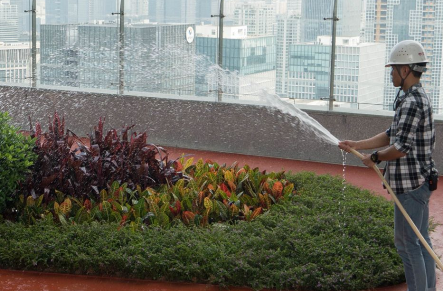 如何應(yīng)對氣候變化、保護海洋、土地及水源