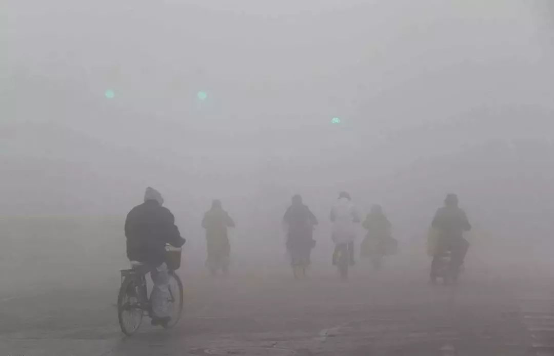 空氣污染如何殺死植物和動(dòng)物？