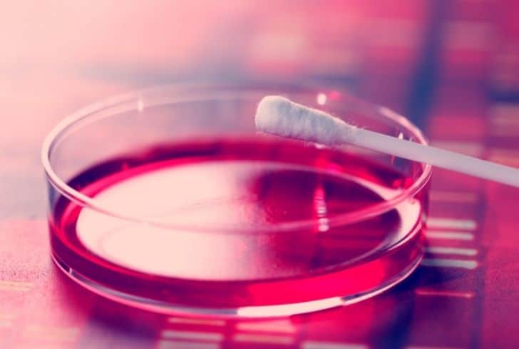 Q-Tips 是否可回收？