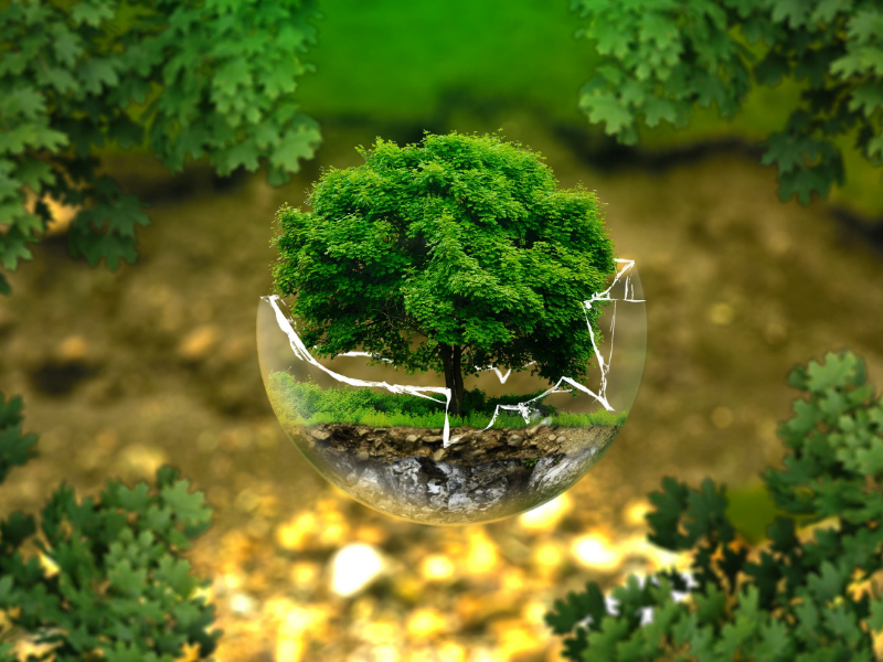 臨期的奶粉可以喝嗎？|過期奶粉銷毀